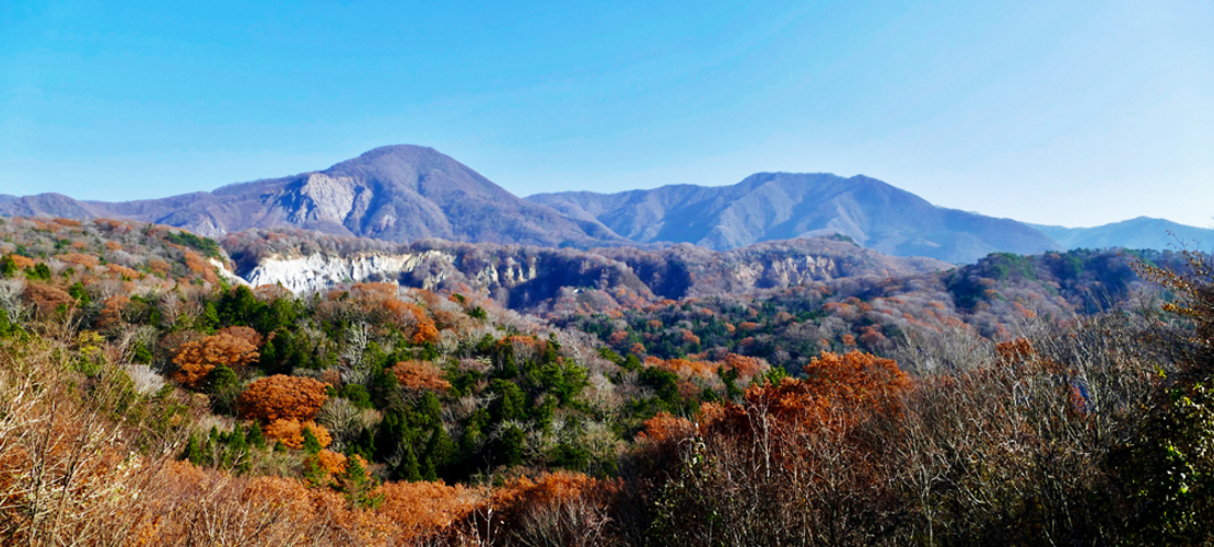 世界遺産　白神山地