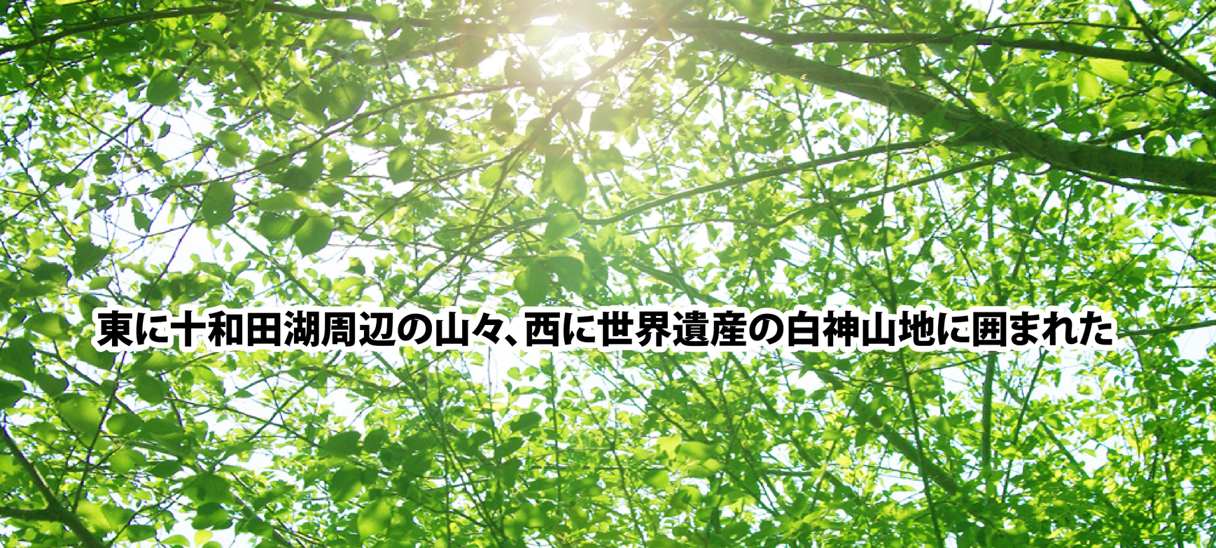 東に十和田湖周辺の山々、南は森吉山、西に世界遺産の白神山地に囲まれた
