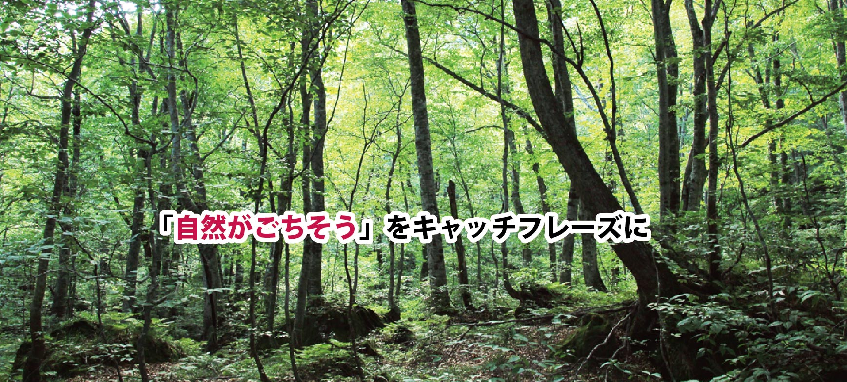 自然がごちそう」をキャッチフレーズに